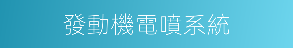 發動機電噴系統的同義詞