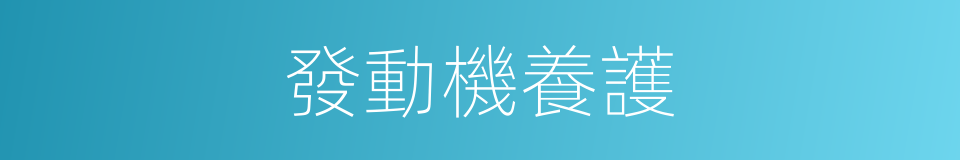 發動機養護的同義詞