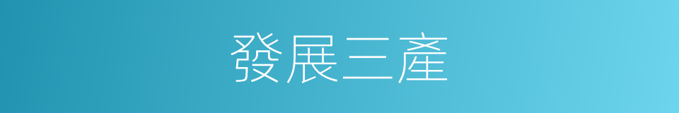 發展三產的同義詞