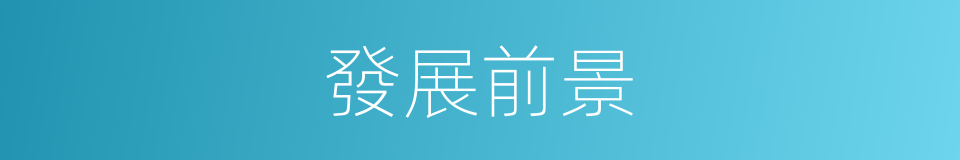 發展前景的同義詞