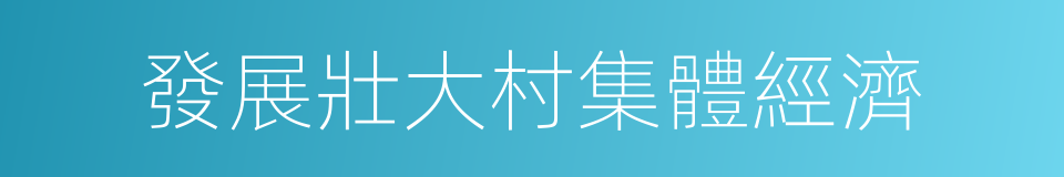 發展壯大村集體經濟的同義詞