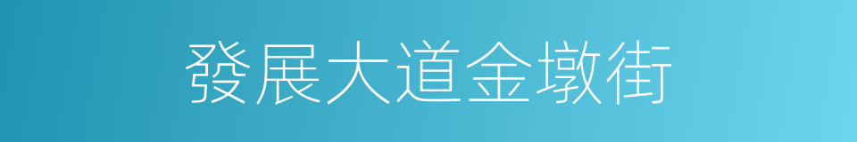 發展大道金墩街的同義詞