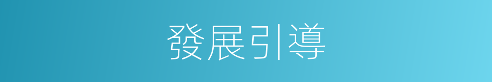 發展引導的同義詞