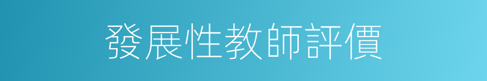 發展性教師評價的同義詞