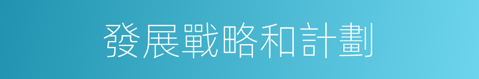 發展戰略和計劃的同義詞