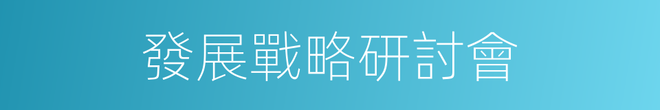 發展戰略研討會的同義詞