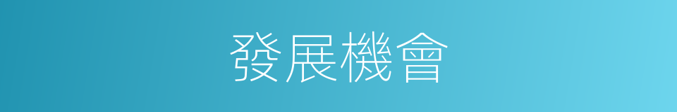 發展機會的同義詞