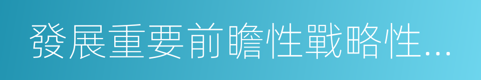 發展重要前瞻性戰略性產業的同義詞