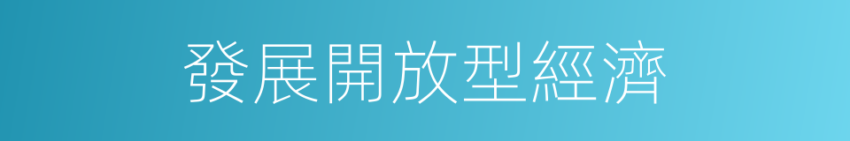 發展開放型經濟的同義詞