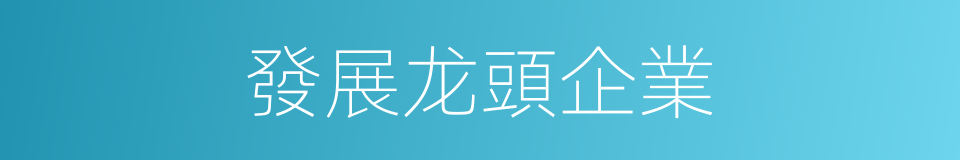 發展龙頭企業的同義詞