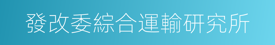 發改委綜合運輸研究所的同義詞