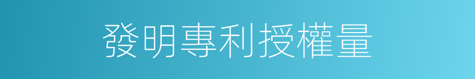 發明專利授權量的同義詞