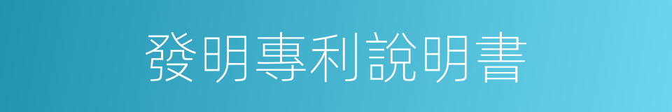 發明專利說明書的同義詞