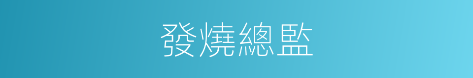 發燒總監的同義詞