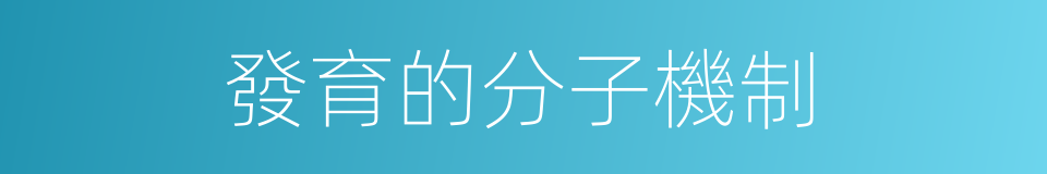 發育的分子機制的同義詞