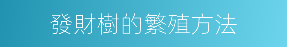 發財樹的繁殖方法的同義詞