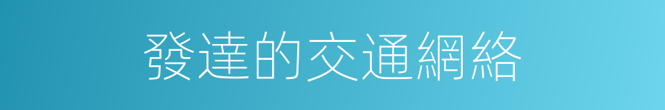 發達的交通網絡的同義詞