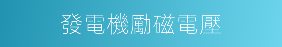 發電機勵磁電壓的同義詞