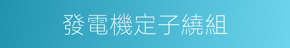 發電機定子繞組的同義詞