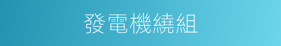 發電機繞組的同義詞