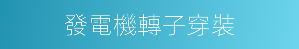 發電機轉子穿裝的同義詞