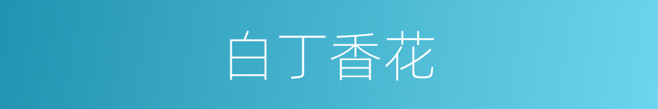 白丁香花的同义词