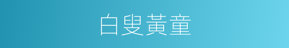 白叟黃童的意思