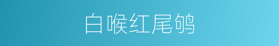 白喉红尾鸲的同义词
