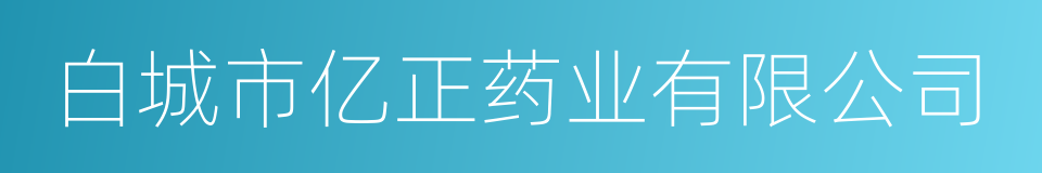 白城市亿正药业有限公司的同义词