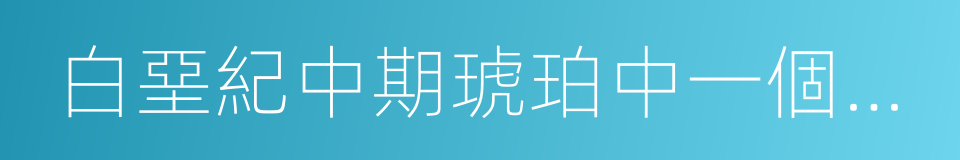 白堊紀中期琥珀中一個長著原始羽毛的恐龍尾的同義詞