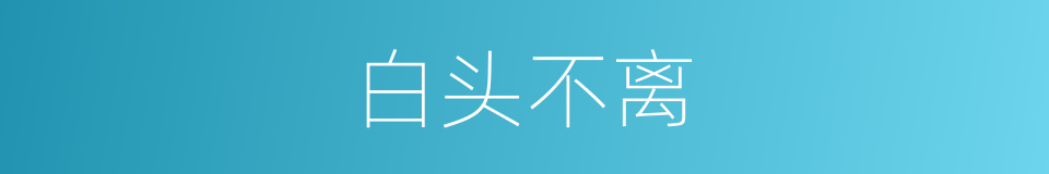 白头不离的同义词