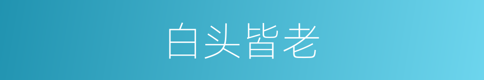 白头皆老的同义词