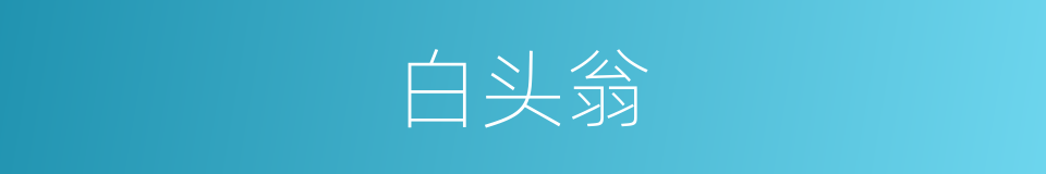白头翁的意思