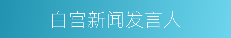 白宫新闻发言人的同义词