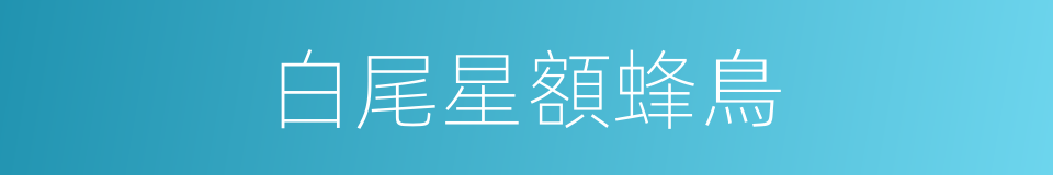 白尾星額蜂鳥的同義詞