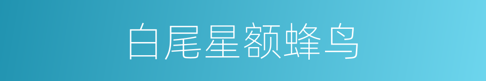 白尾星额蜂鸟的同义词