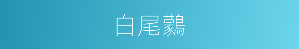 白尾鸏的同義詞