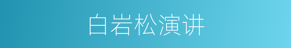 白岩松演讲的同义词