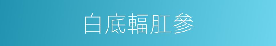 白底輻肛參的同義詞