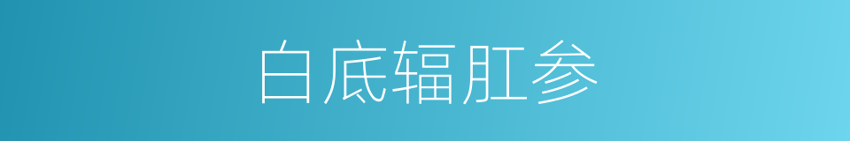 白底辐肛参的同义词