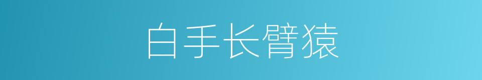 白手长臂猿的同义词