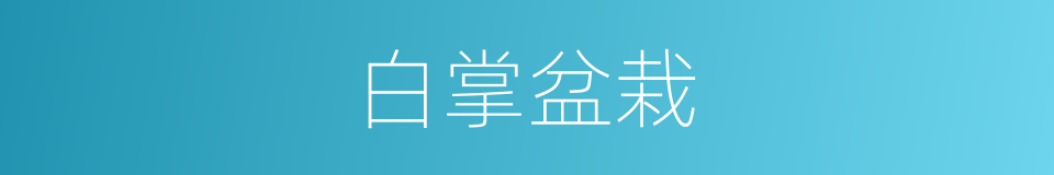 白掌盆栽的同义词