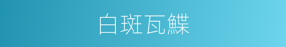 白斑瓦鰈的同義詞