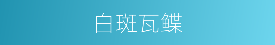 白斑瓦鲽的同义词