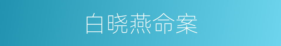 白晓燕命案的同义词