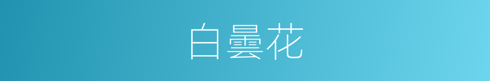 白曇花的同義詞