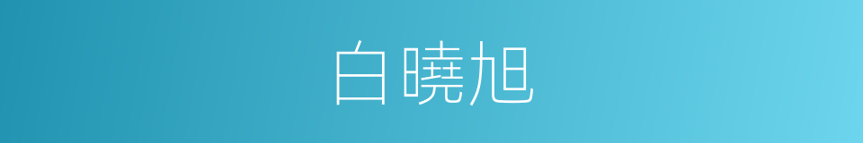 白曉旭的同義詞