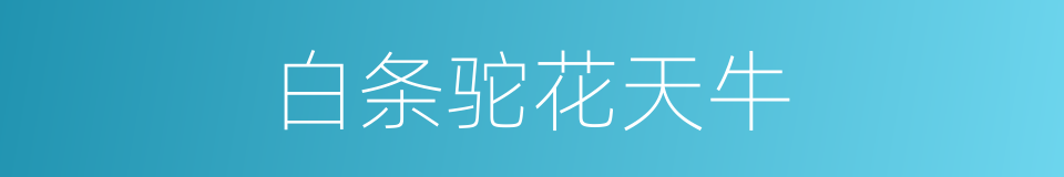 白条驼花天牛的同义词