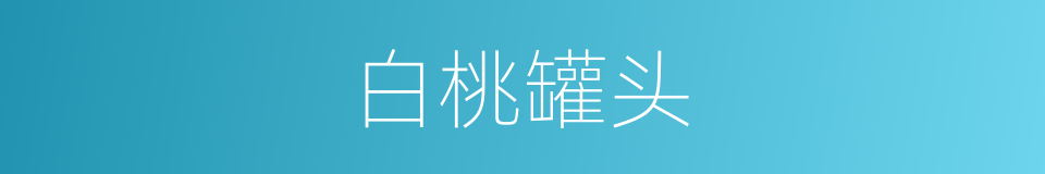 白桃罐头的同义词