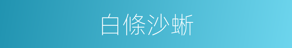 白條沙蜥的同義詞